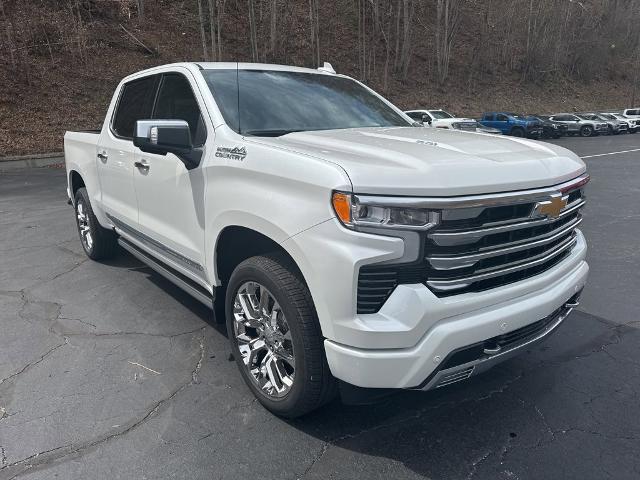 2025 Chevrolet Silverado 1500 Vehicle Photo in MARION, NC 28752-6372