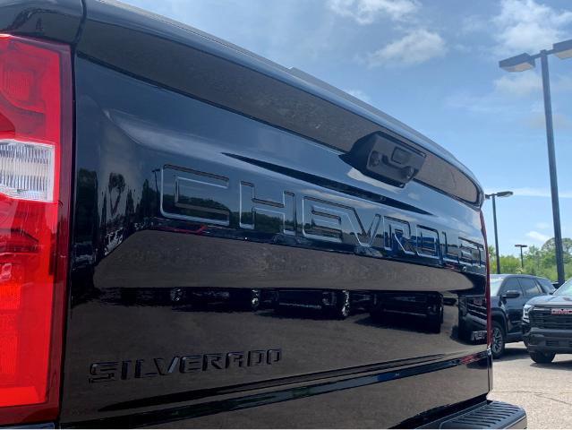 2025 Chevrolet Silverado 1500 Vehicle Photo in BEAUFORT, SC 29906-4218
