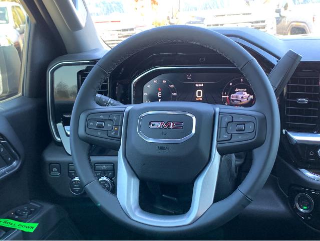 2025 GMC Sierra 1500 Vehicle Photo in BEAUFORT, SC 29906-4218