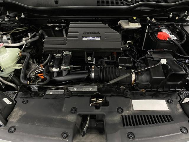 2019 Honda CR-V Vehicle Photo in Appleton, WI 54913