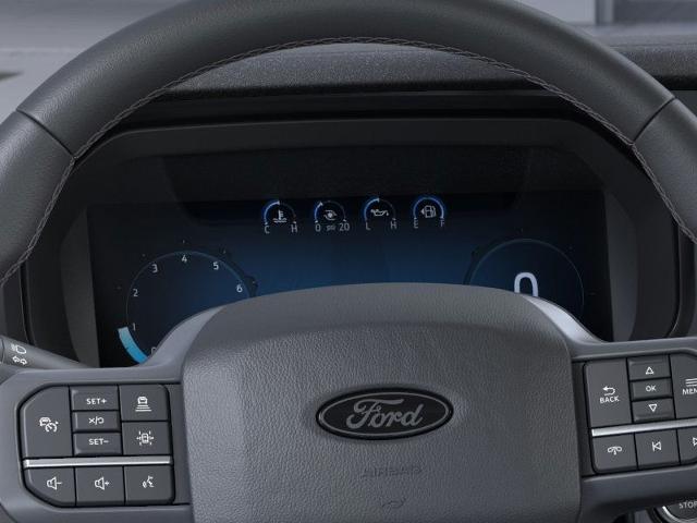 2025 Ford F-150 Vehicle Photo in Neenah, WI 54956