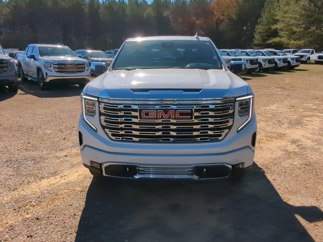 2025 GMC Sierra 1500 Vehicle Photo in ALBERTVILLE, AL 35950-0246