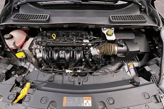 2019 Ford Escape Vehicle Photo in INDEPENDENCE, MO 64055-1314