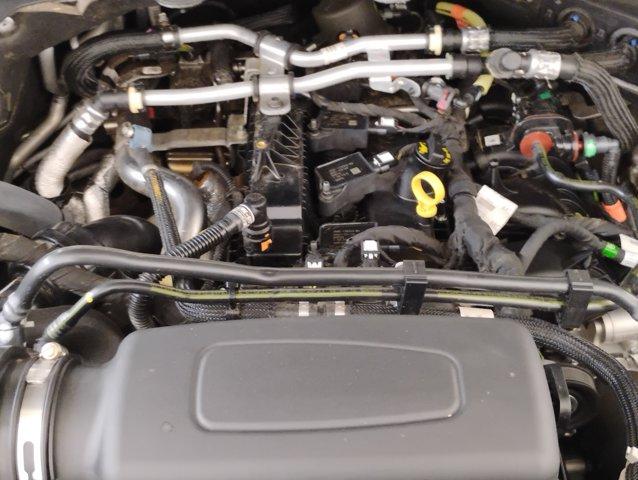 2021 Ford Explorer Vehicle Photo in PINEVILLE, NC 28134-8495