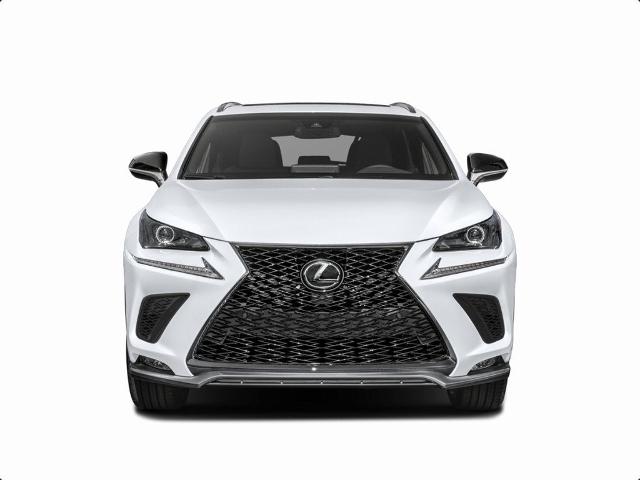 2020 Lexus NX 300 Vehicle Photo in Tulsa, OK 74129