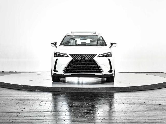 2024 Lexus UX 250h Vehicle Photo in DALLAS, TX 75235