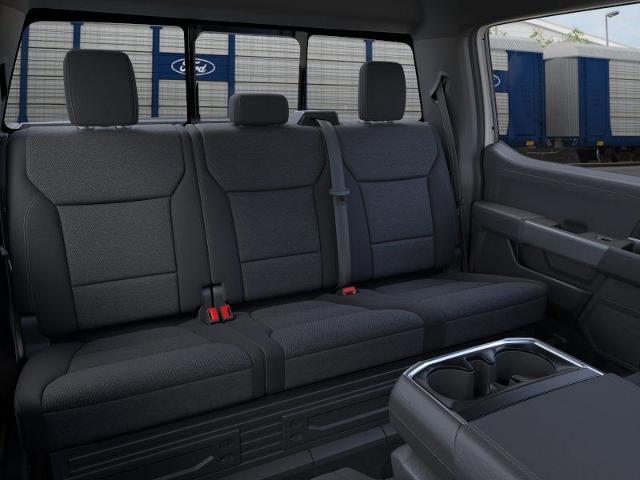 2025 Ford F-150 Vehicle Photo in Weatherford, TX 76087