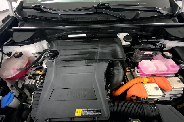 2021 Kia Niro Vehicle Photo in Lees Summit, MO 64086