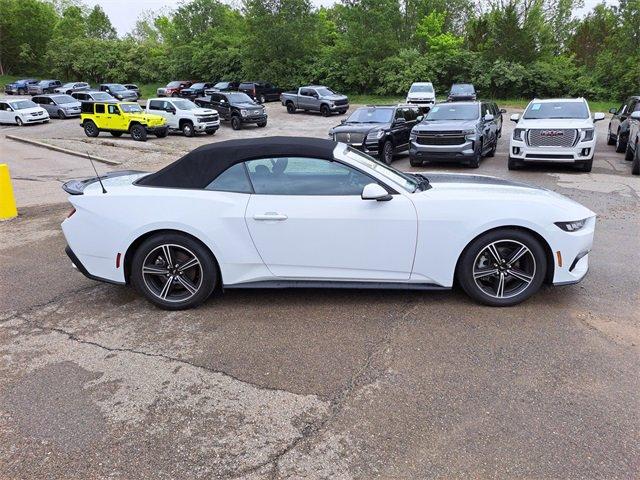 2024 Ford Mustang Vehicle Photo in MILFORD, OH 45150-1684