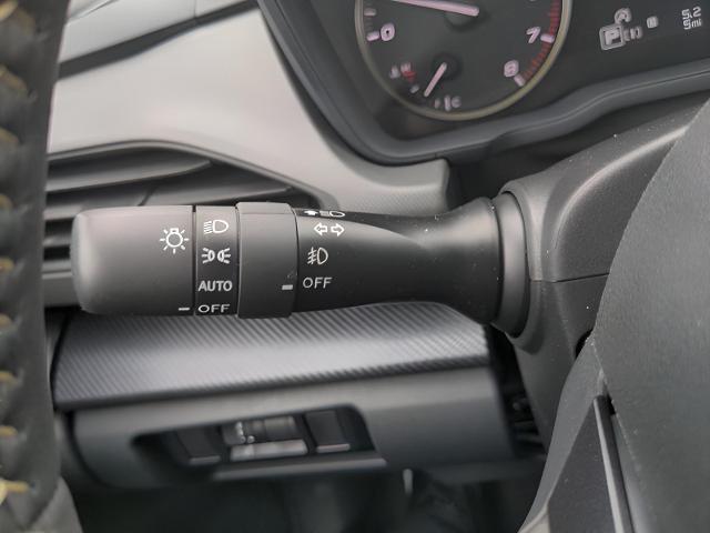 2025 Subaru Crosstrek Vehicle Photo in Green Bay, WI 54304