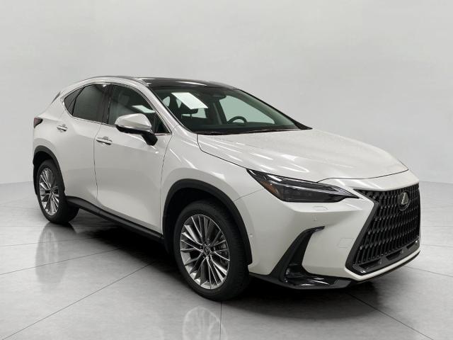 2025 Lexus NX 350 Vehicle Photo in Appleton, WI 54913