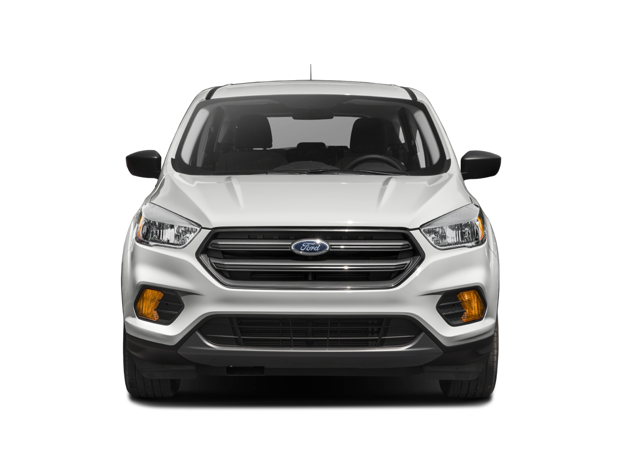 2019 Ford Escape Vehicle Photo in Green Bay, WI 54304