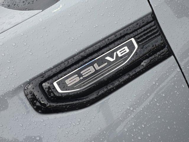 2024 GMC Sierra 1500 Vehicle Photo in Decatur, TX 76234