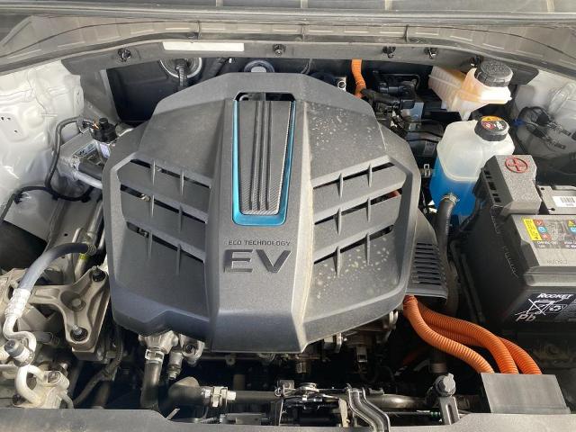 2019 Kia Niro EV Vehicle Photo in TURLOCK, CA 95380-4918