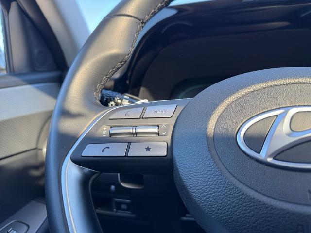2024 Hyundai PALISADE Vehicle Photo in Statesboro, GA 30458