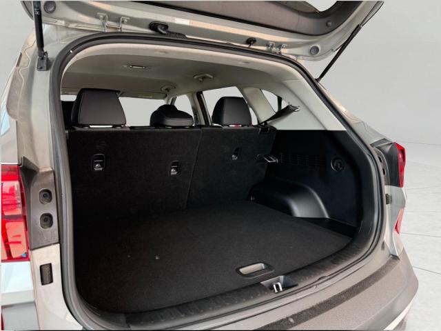 2023 Kia Seltos Vehicle Photo in Appleton, WI 54914
