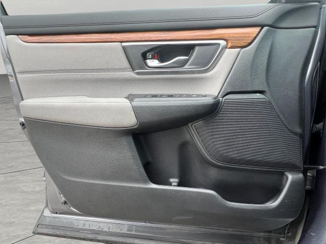 2019 Honda CR-V Vehicle Photo in Appleton, WI 54914