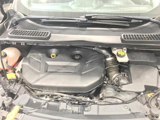 2019 Ford Escape Vehicle Photo in GREEN BAY, WI 54303-3330