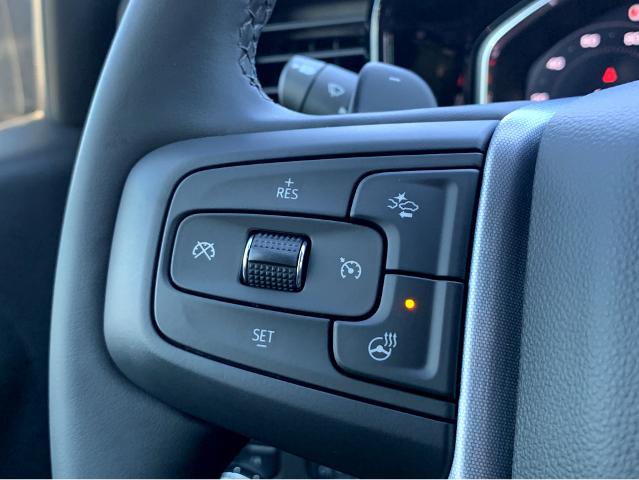 2025 GMC Sierra 1500 Vehicle Photo in BEAUFORT, SC 29906-4218