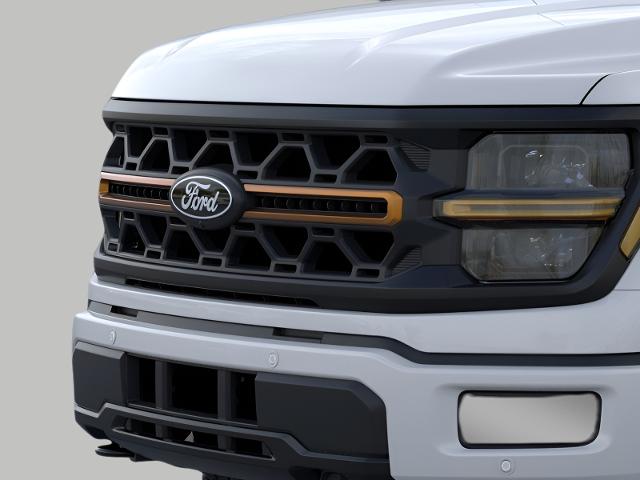 2025 Ford F-150 Vehicle Photo in Neenah, WI 54956