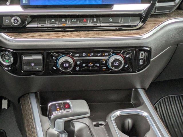 2023 Chevrolet Silverado 1500 Vehicle Photo in SELMA, TX 78154-1460