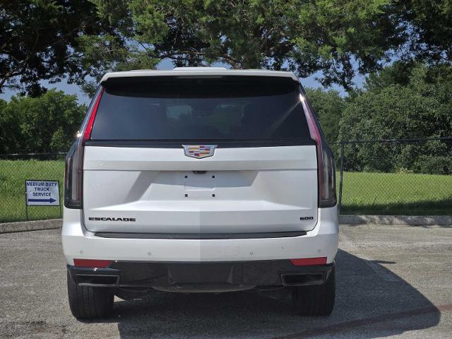 2022 Cadillac Escalade Vehicle Photo in DENTON, TX 76210-9321