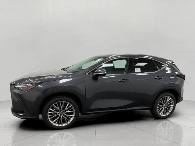 2025 Lexus NX 350 Vehicle Photo in Appleton, WI 54913