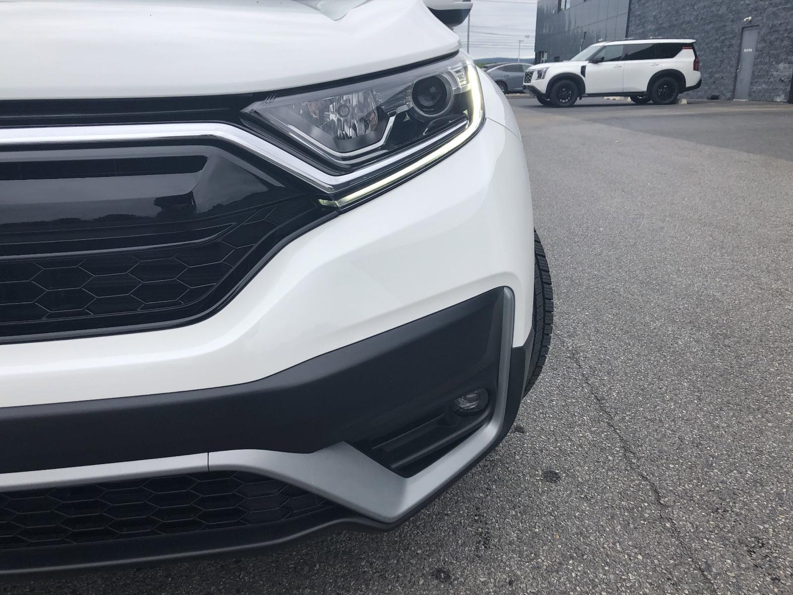 2020 Honda CR-V Vehicle Photo in Mechanicsburg, PA 17050