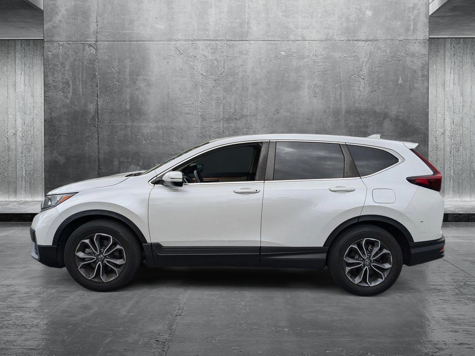 2022 Honda CR-V Vehicle Photo in Miami, FL 33015