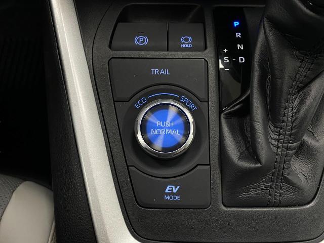2020 Toyota RAV4 Vehicle Photo in Appleton, WI 54913