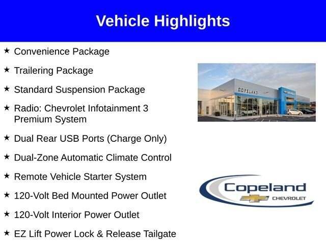 2025 Chevrolet Silverado 1500 Vehicle Photo in BROCKTON, MA 02301-7113