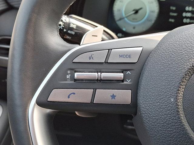 2024 Hyundai PALISADE Vehicle Photo in Philadelphia, PA 19116