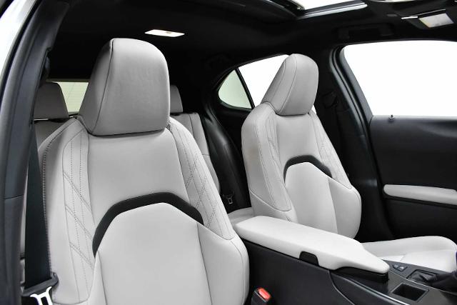 2024 Lexus UX 250h Vehicle Photo in DALLAS, TX 75235