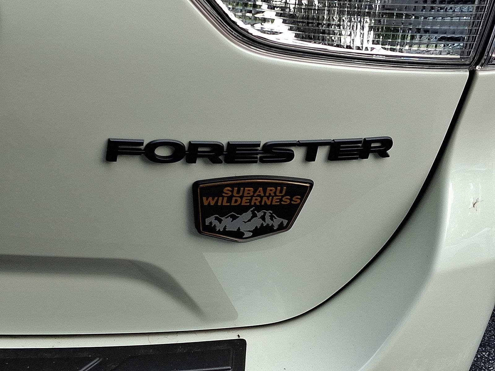 2025 Subaru Forester Vehicle Photo in Harrisburg, PA 17111