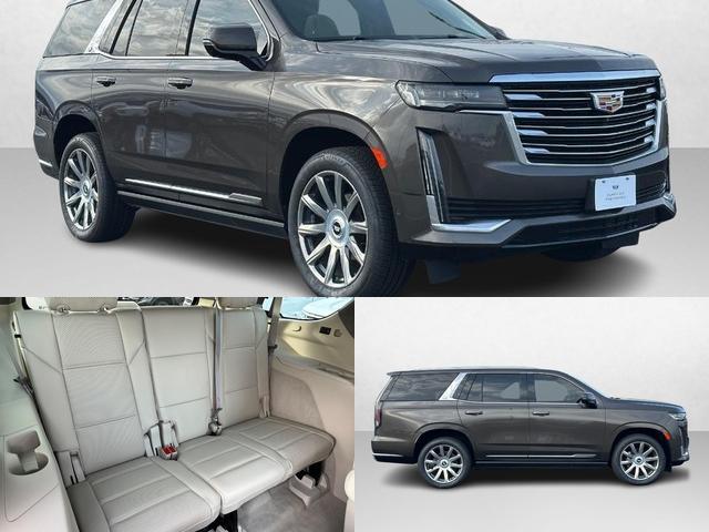 2021 Cadillac Escalade Vehicle Photo in COLUMBIA, MO 65203-3903