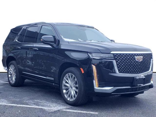 2023 Cadillac Escalade Vehicle Photo in SMITHTOWN, NY 11787-5023