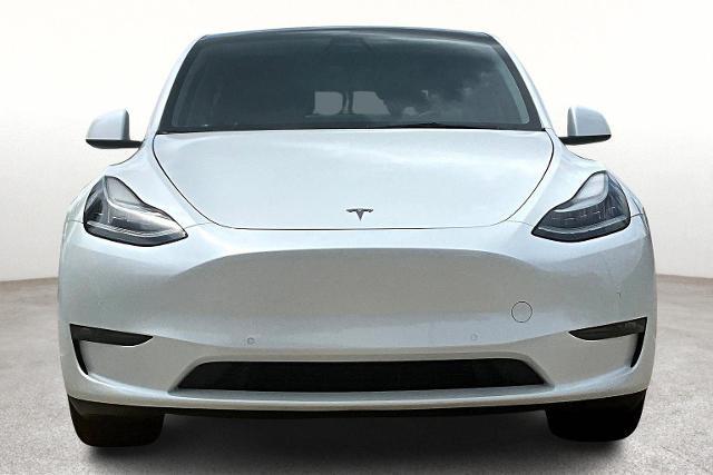 2021 Tesla Model Y Vehicle Photo in Houston, TX 77007