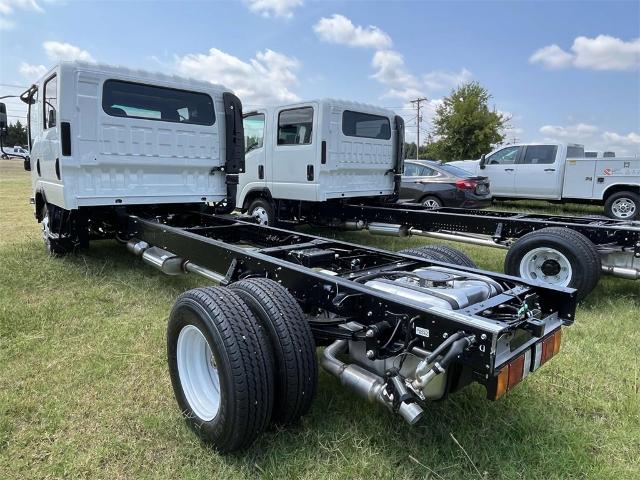 2025 Chevrolet Low Cab Forward 3500 Vehicle Photo in ALCOA, TN 37701-3235