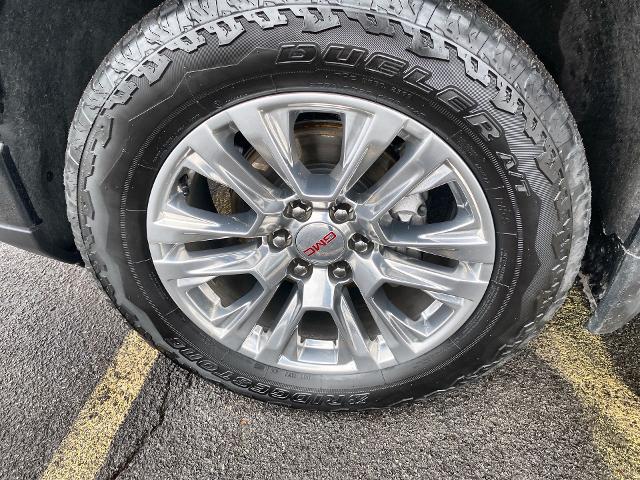 2024 GMC Sierra 1500 Vehicle Photo in WILLIAMSVILLE, NY 14221-2883
