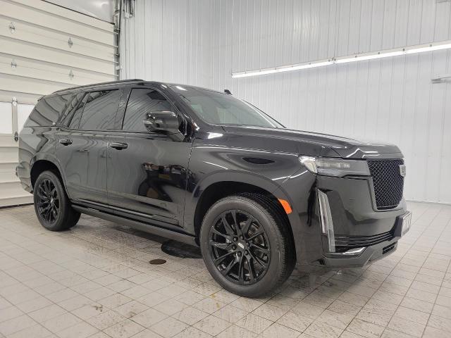2023 Cadillac Escalade Vehicle Photo in APPLETON, WI 54914-4656