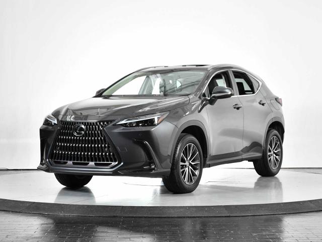 2022 Lexus NX 350 Vehicle Photo in DALLAS, TX 75235