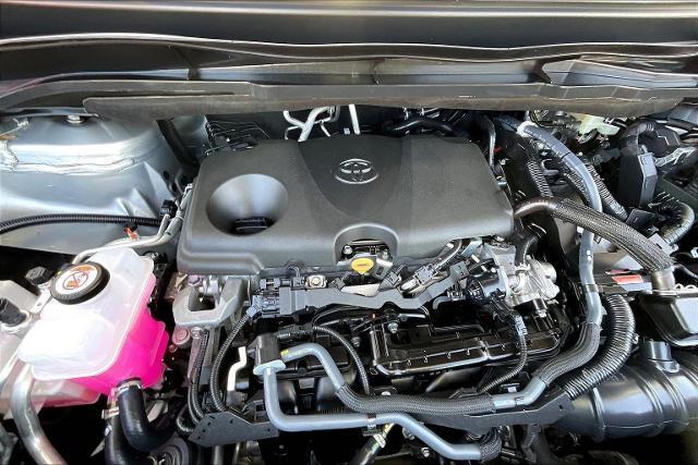 2024 Toyota Sienna Vehicle Photo in San Antonio, TX 78230