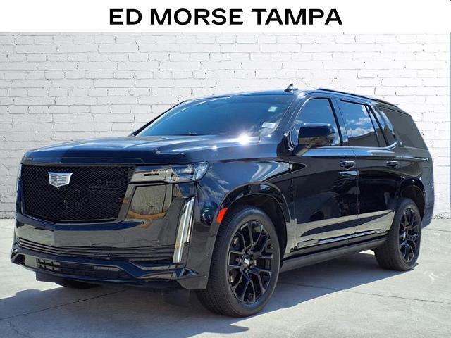 2023 Cadillac Escalade Vehicle Photo in Tampa, FL 33612