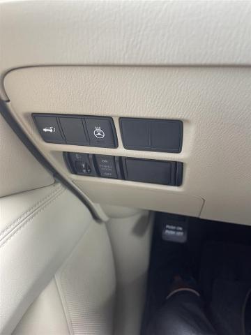 2019 INFINITI QX80 Vehicle Photo in San Antonio, TX 78230