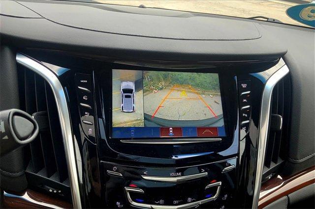 2019 Cadillac Escalade Vehicle Photo in KANSAS CITY, MO 64114-4545
