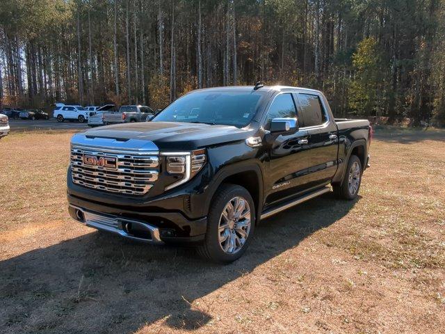 2025 GMC Sierra 1500 Vehicle Photo in ALBERTVILLE, AL 35950-0246