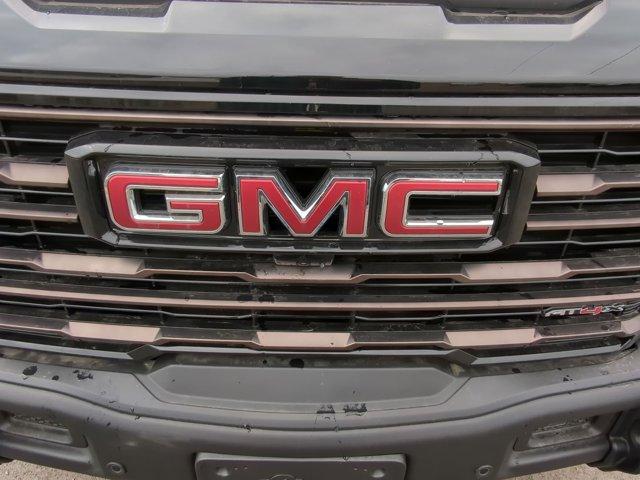 2025 GMC Sierra 1500 Vehicle Photo in ALBERTVILLE, AL 35950-0246