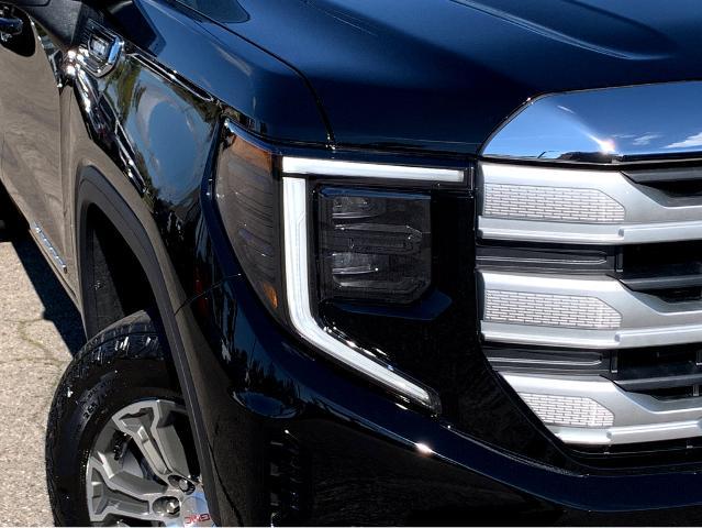 2025 GMC Sierra 1500 Vehicle Photo in BEAUFORT, SC 29906-4218