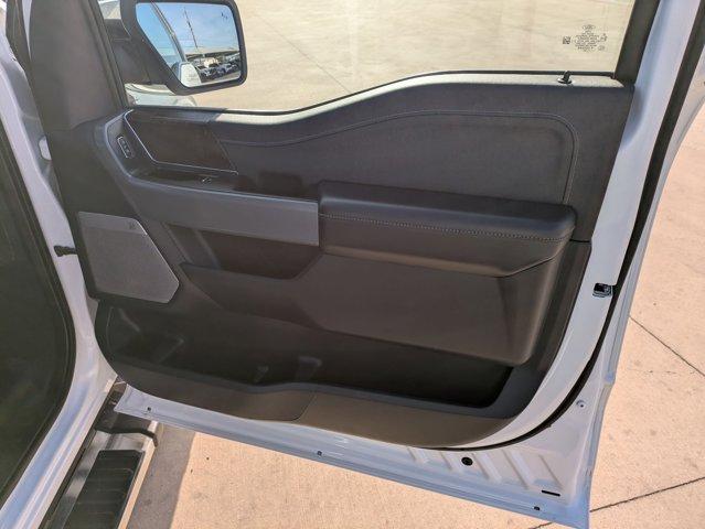 2023 Ford F-150 Vehicle Photo in SELMA, TX 78154-1459