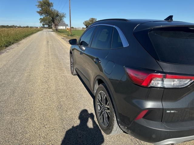 2020 Ford Escape Vehicle Photo in Pilot Point, TX 76258